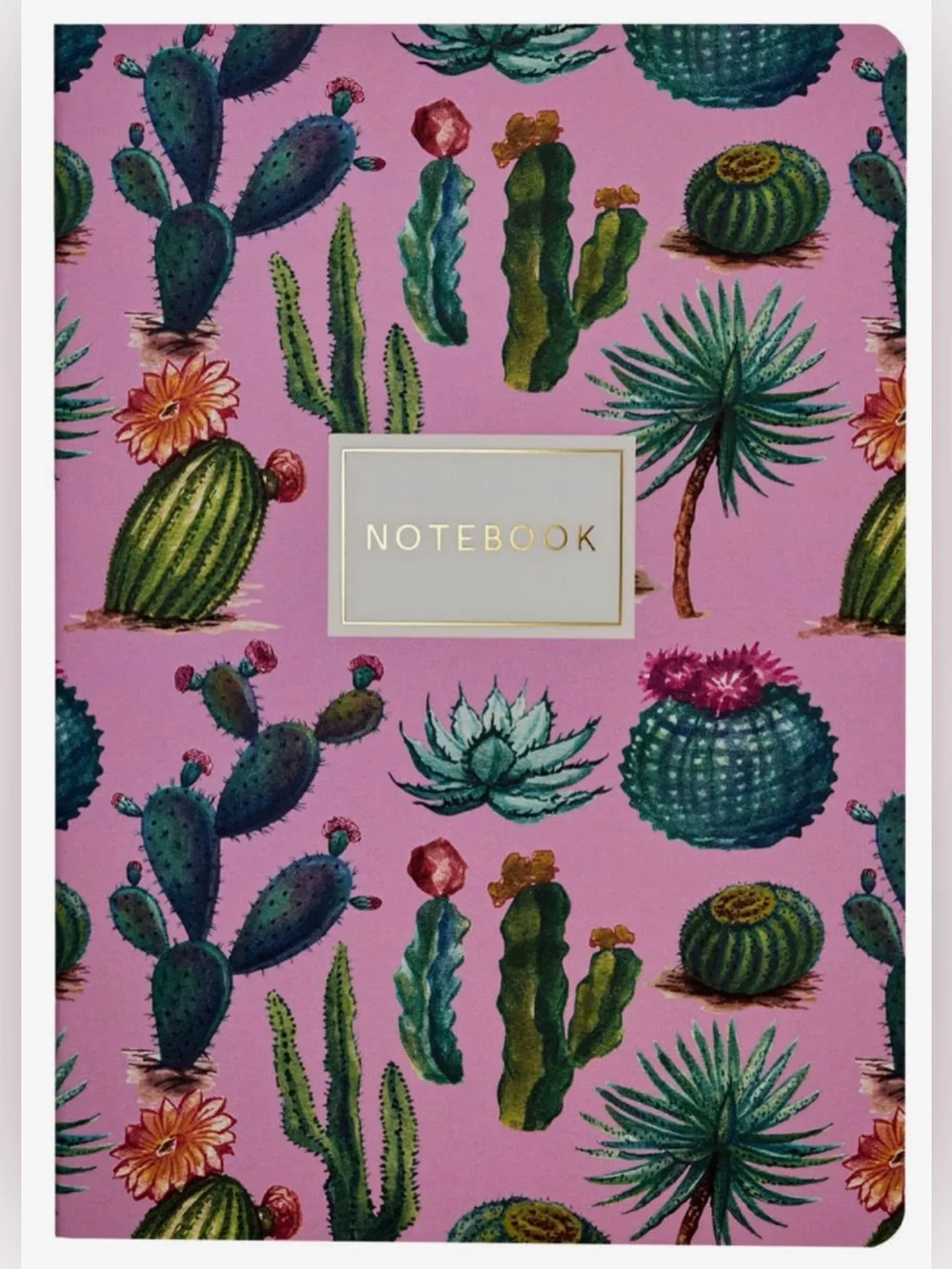 BV by Bruno Visconti A5 Journal Cactus on Rose Gold Foil NEW